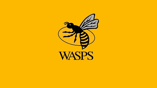 Wasp Rugby